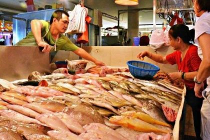 Produce Explained Fish Online 3