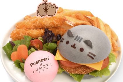 Pusheen X Kumoya Online 3