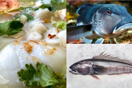 Collage of Qing Feng Yuan fish soup and New Zealand Blue Cod