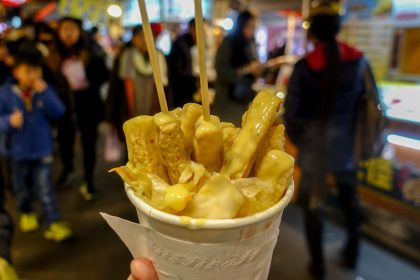 Raohe Smelly Tofu Fries
