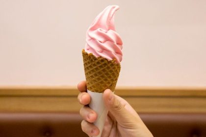 Sakura Ice Cream Mos Burger 2