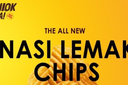 Shiok Sia Nasi Lemak Chips Online 2