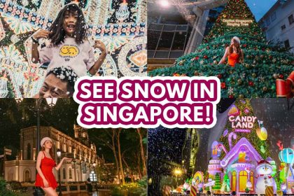 Snow Singapore - featured image