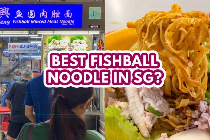 Song-Heng-Fishball-Minced-Meat-Noodle