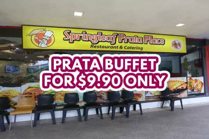 Springleaf prata - featured image