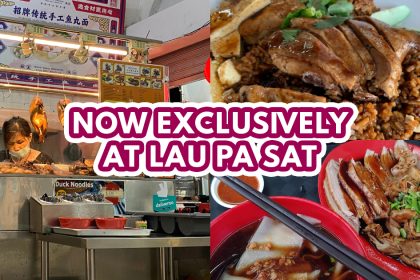 Swatow Bai Le Braised Duck - feature
