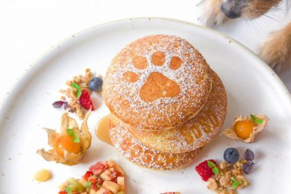 The Pup Up Cafe 01 800x800