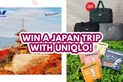 UNIQLO Thank You Festival - featured image
