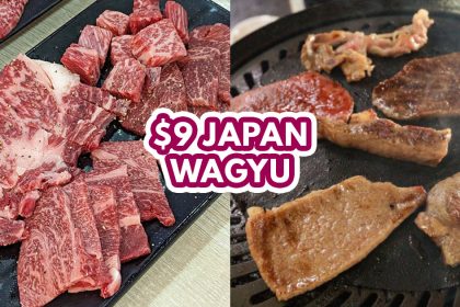 Wano Niku - Featured Image