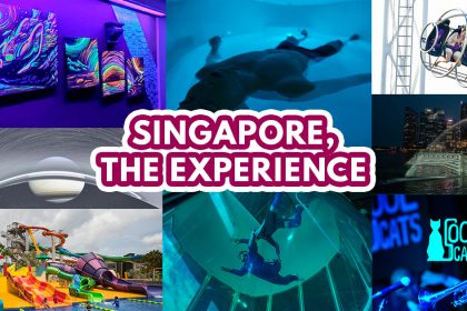What to do in Singapore FI