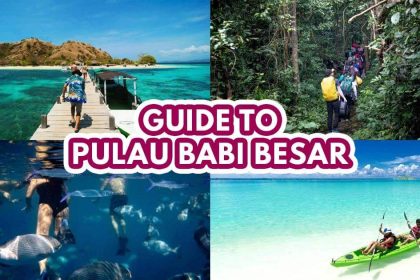 pulaubabibesar - featuredimage