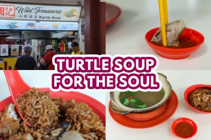 Wild Treasures Turtle Soup - featured image