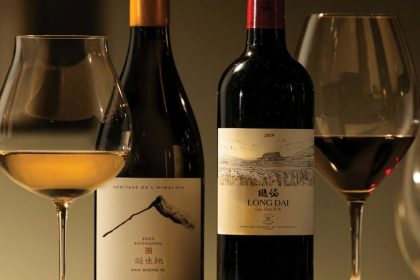 Wine festival beyond the cellar 2026 - featured image