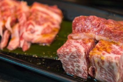Yakiniku Ohji 22