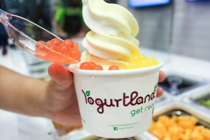 Yogurtland-12