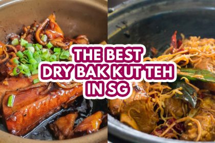 dry bak kut teh - featured image