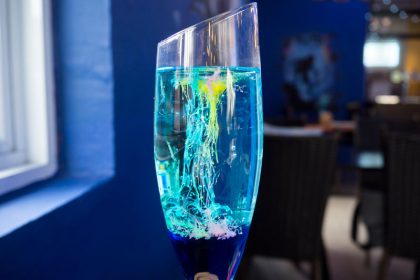 blue willow - 13