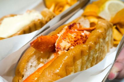 chunky lobsters - 6