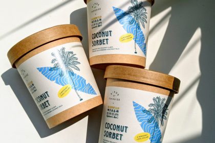 a flatlay of coconut sorbet