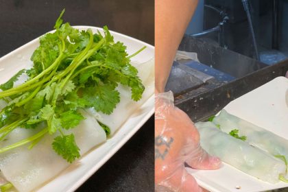 Coriander 3