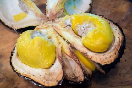 Double Durian 31