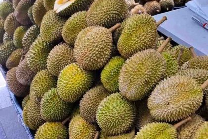 fairprice durian flash sale 2026 - feature image