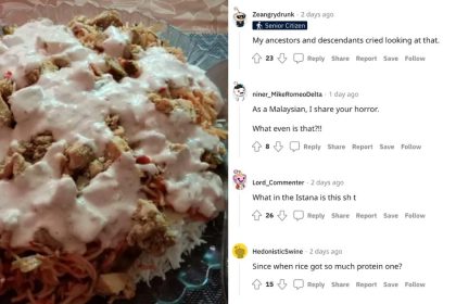 singaporean rice - reddit comments