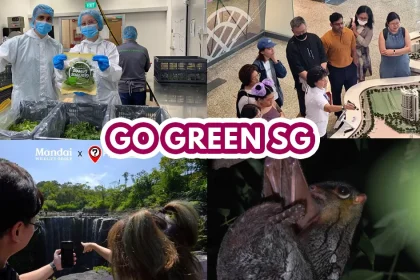 GREEN-HOUSE Sustainability Festival - 2023 Edition