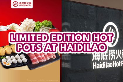 haidilaofpPNG