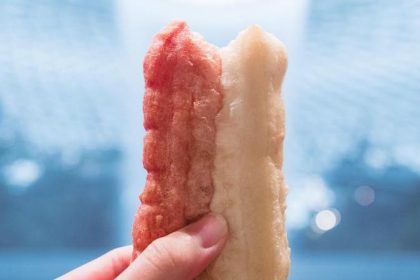 Jollibean Beetroot Youtiao Online 3