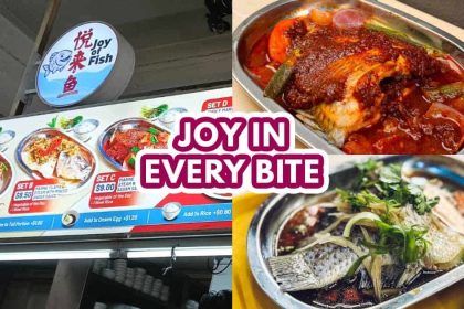 joy of fish - featured image