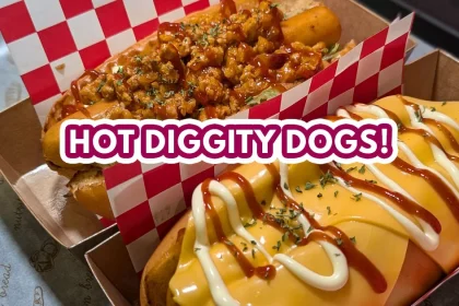lecker hotdog - featured image