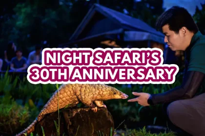 night safari's 30th anniversary - keeper talks