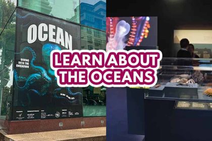 Ocean - Featured Image
