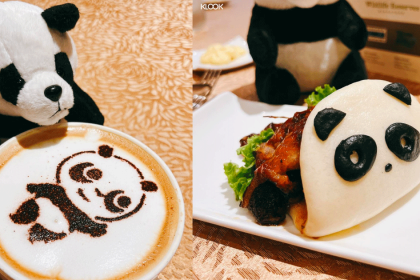 panda4