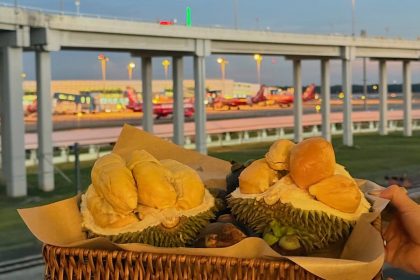 Perfect Durian - Featured image