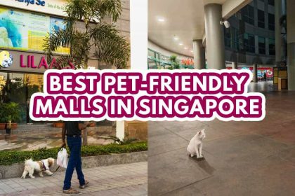 Best Pet-Friendly Mall - Featured Image