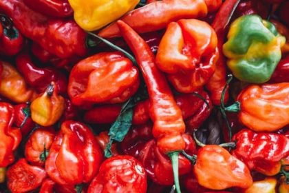 Produce Explained Chilli