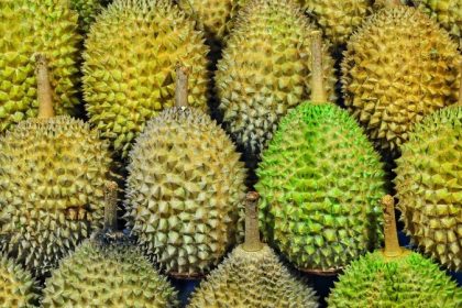 Produce Explained Durian 1