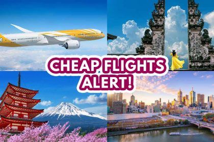 Scoot’s Everywhere Sale - Featured image