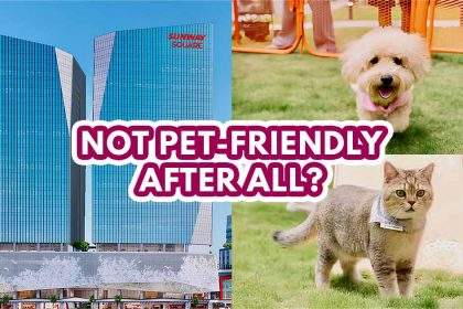 Sunway Square Mall Pet - Featured image