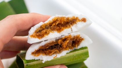 Tan's Tutu Coconut Cake 15