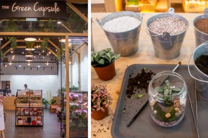 The Green Capsule 25