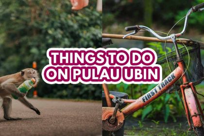 things to do at pulau ubin - featured image