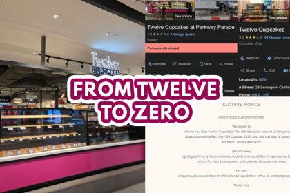 twelve cupcakes - featured image