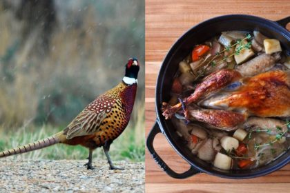 Collage of Pheasant and Braised guinea hen