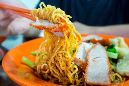 wanton noodle house