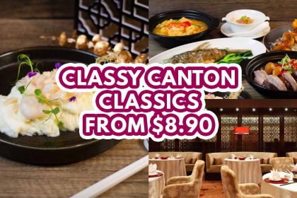 xin cuisine shunde featured image