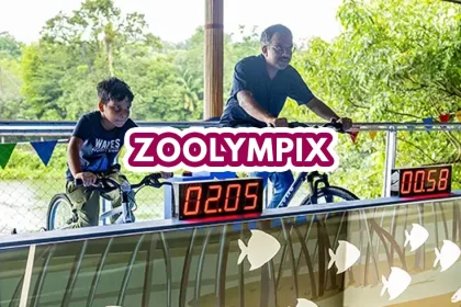 zoolympix - dad and child riding on bike